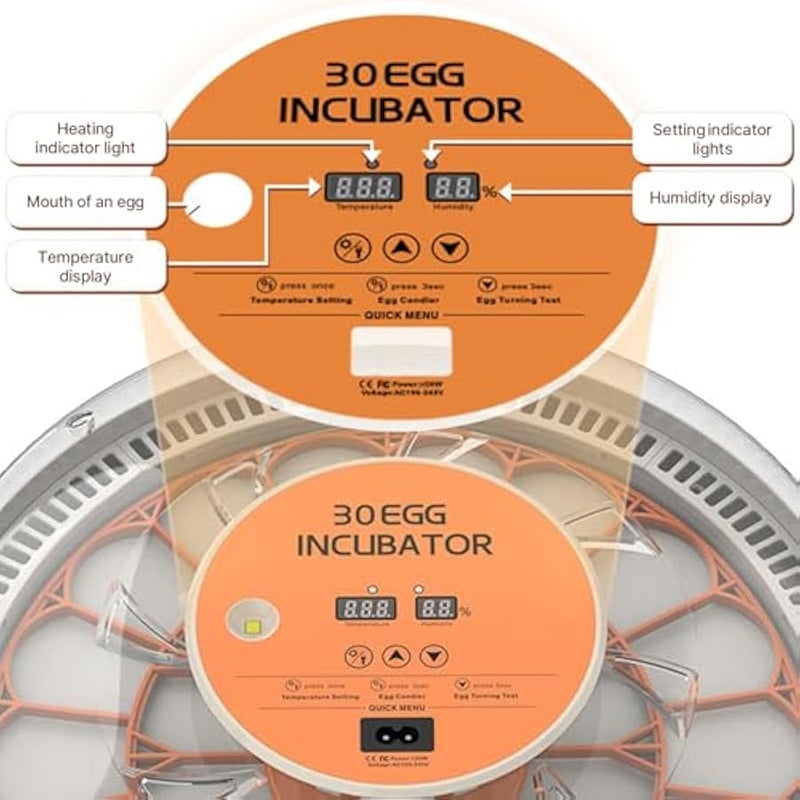 حاضنة 30 بيضة مع تدوير البيض التلقائي مع زجاجة مياه بالحقن الخارجي - الة تفقيس الدواجن الصغيرة المنزلية مع ضوء شمعة البيض للدجاج والبط والحمام والطيور (قابس امريكي) - Image 4
